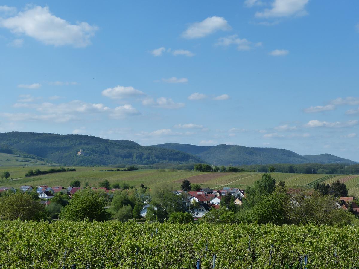 Gaestehaus Annel Niederhorbach 외부 사진