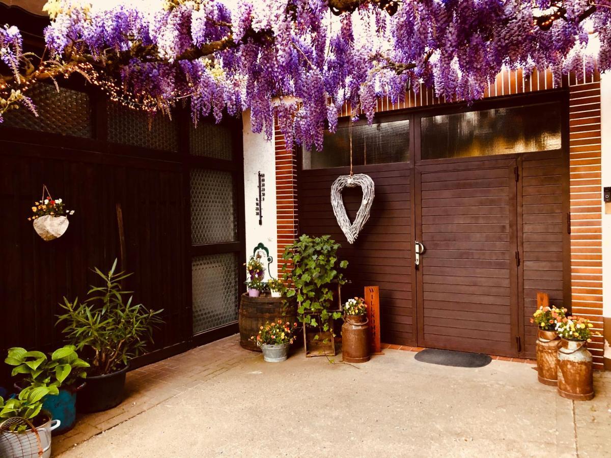 Gaestehaus Annel Niederhorbach 외부 사진